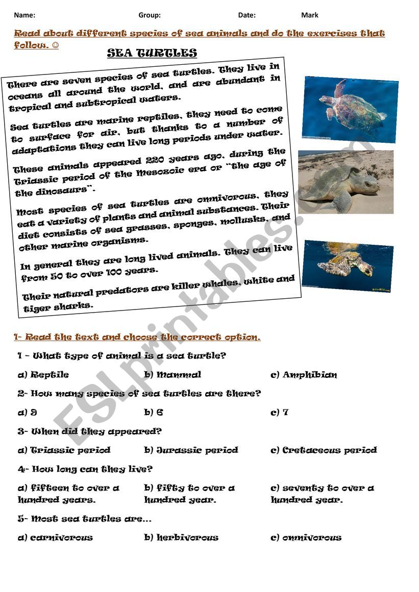 Sea animals activities. - ESL worksheet by SOSI1980