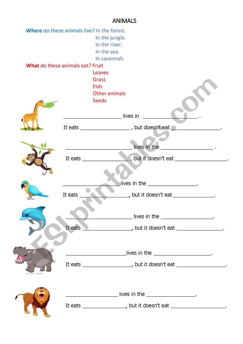 What do animals eat? - ESL worksheet by domaja