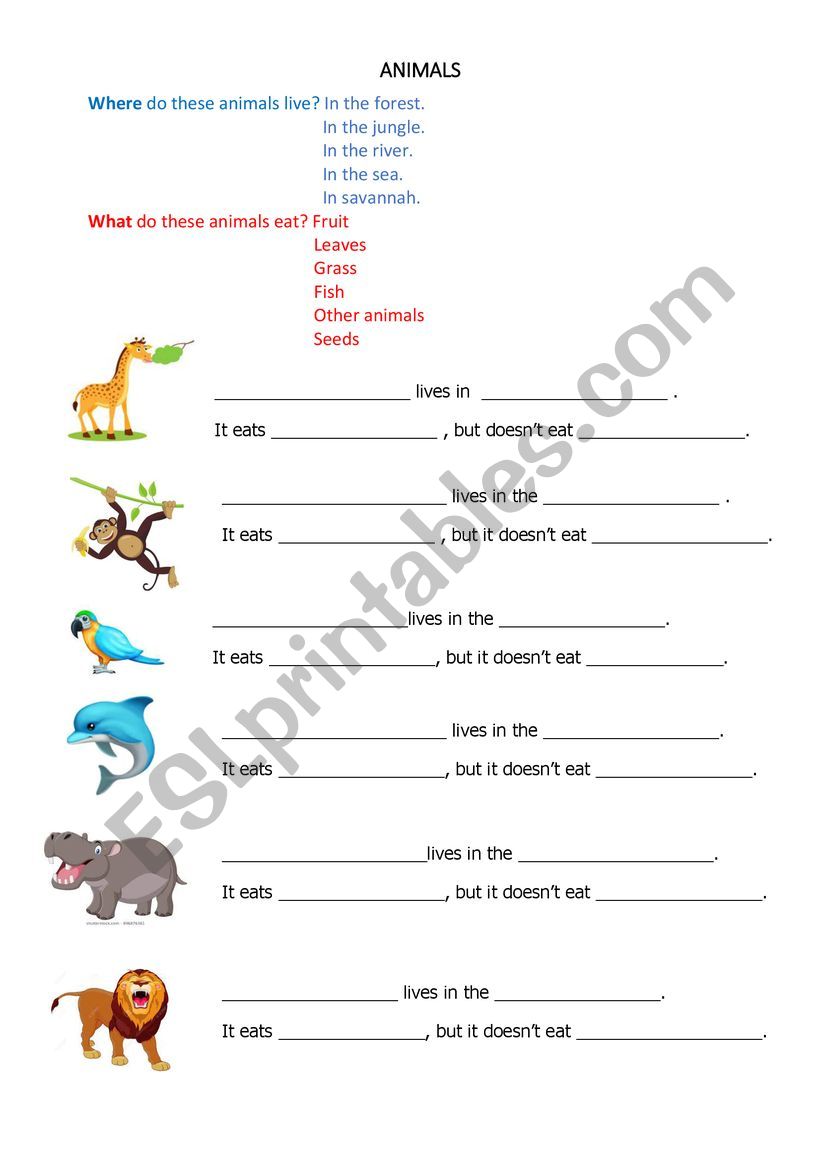 What do animals eat? worksheet