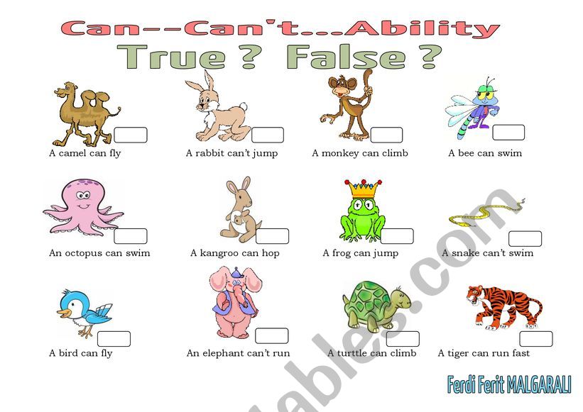 Can Ability worksheet