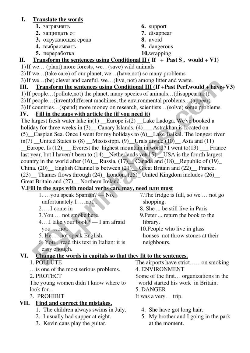 Grammar Test  worksheet