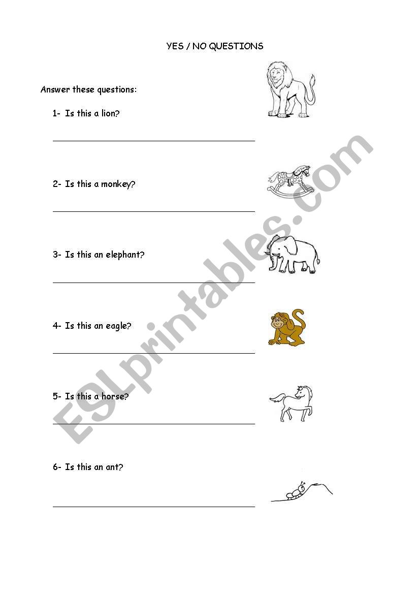 YES / NO QUESTIONS worksheet
