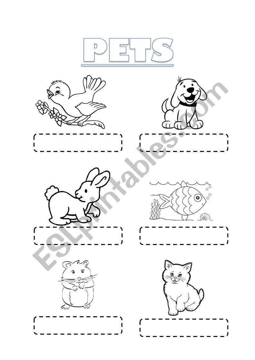 PETS worksheet