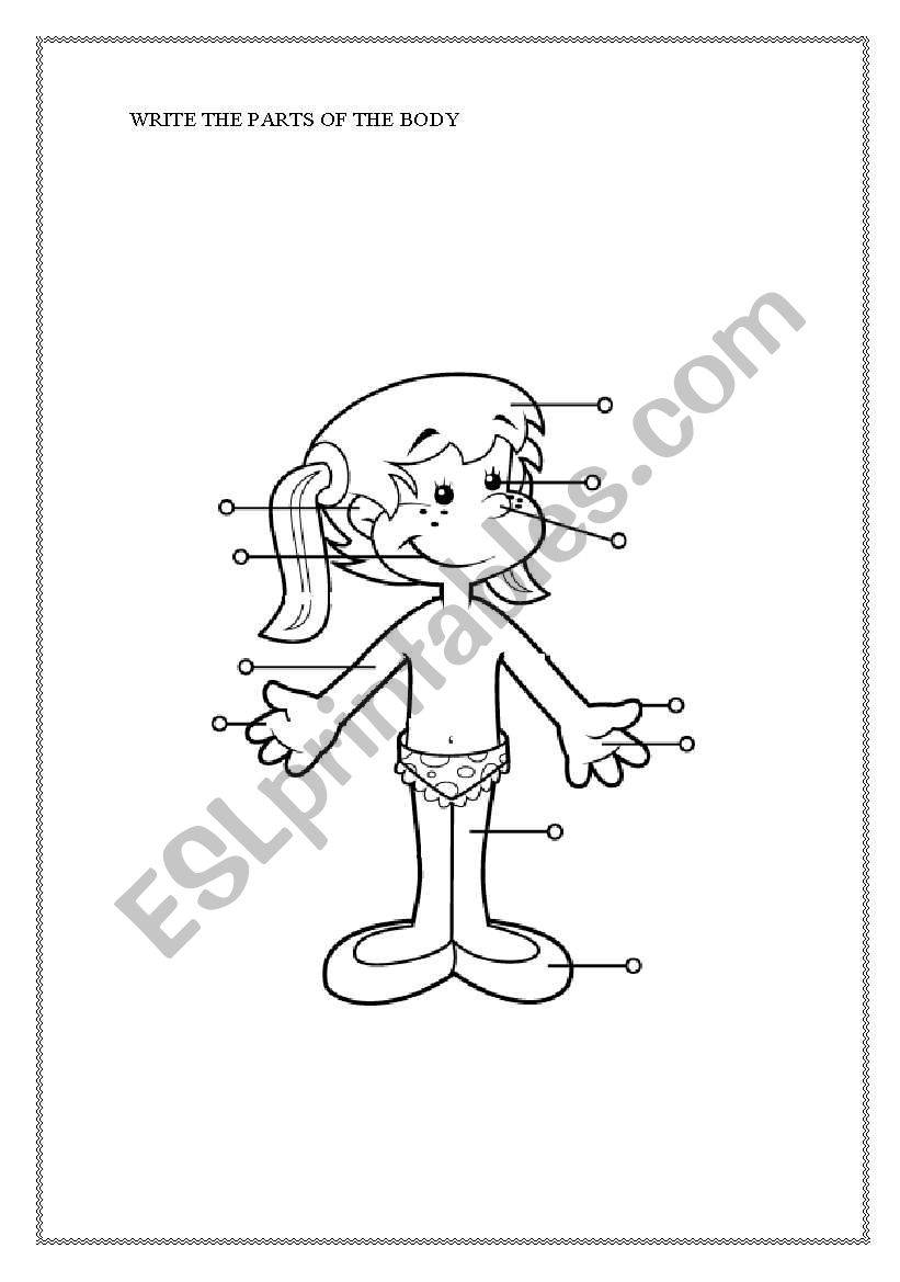 Parts of the body worksheet