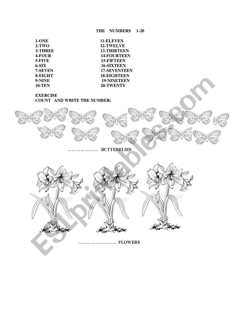numbers worksheet