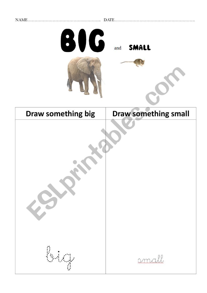 BIG AND SMALL worksheet