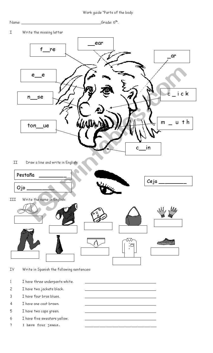 Body worksheet