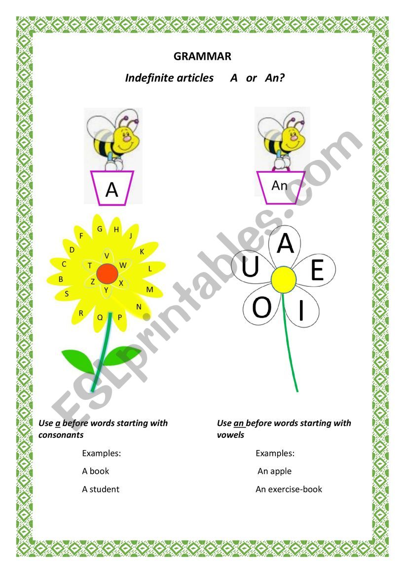 Indefinite articles worksheet