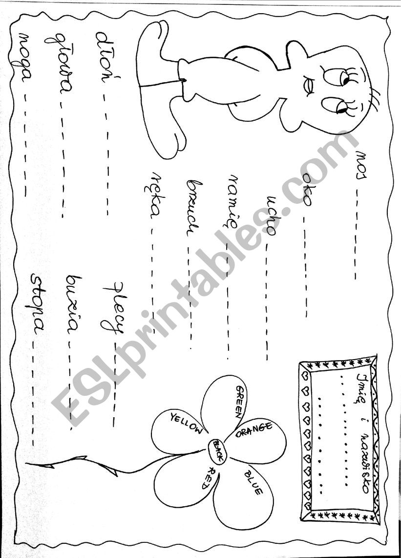 Body parts worksheet