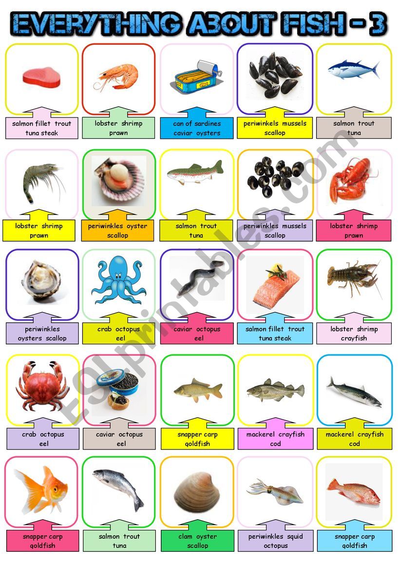 Everything about fish 3  - Pictionary + KEY