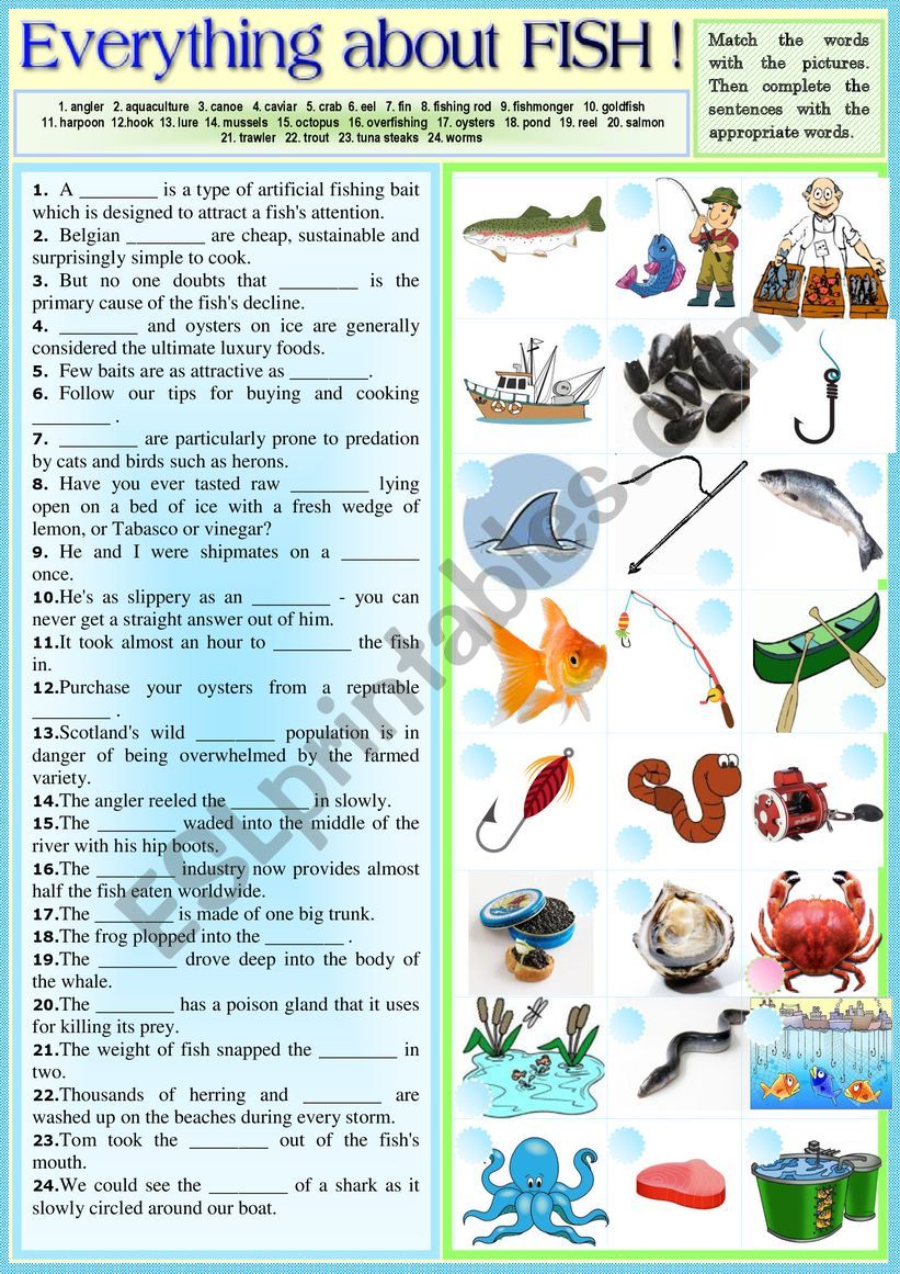 Fish in sentences + KEY worksheet