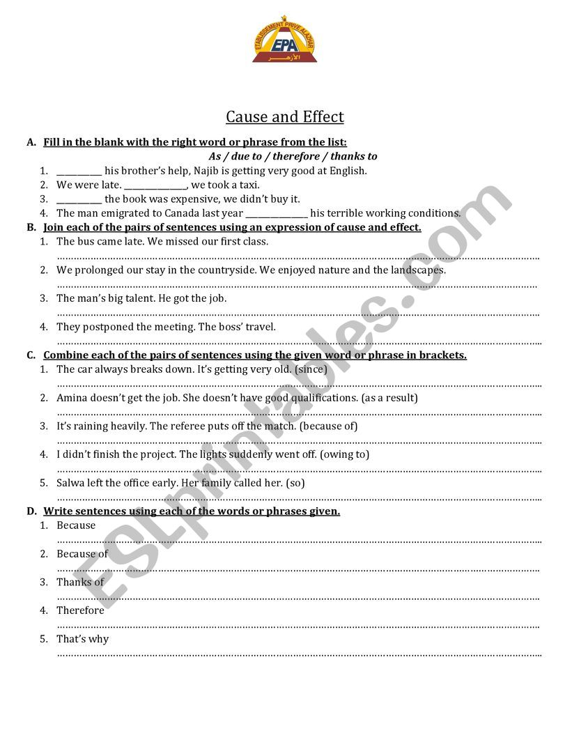 Cause and Effect worksheet