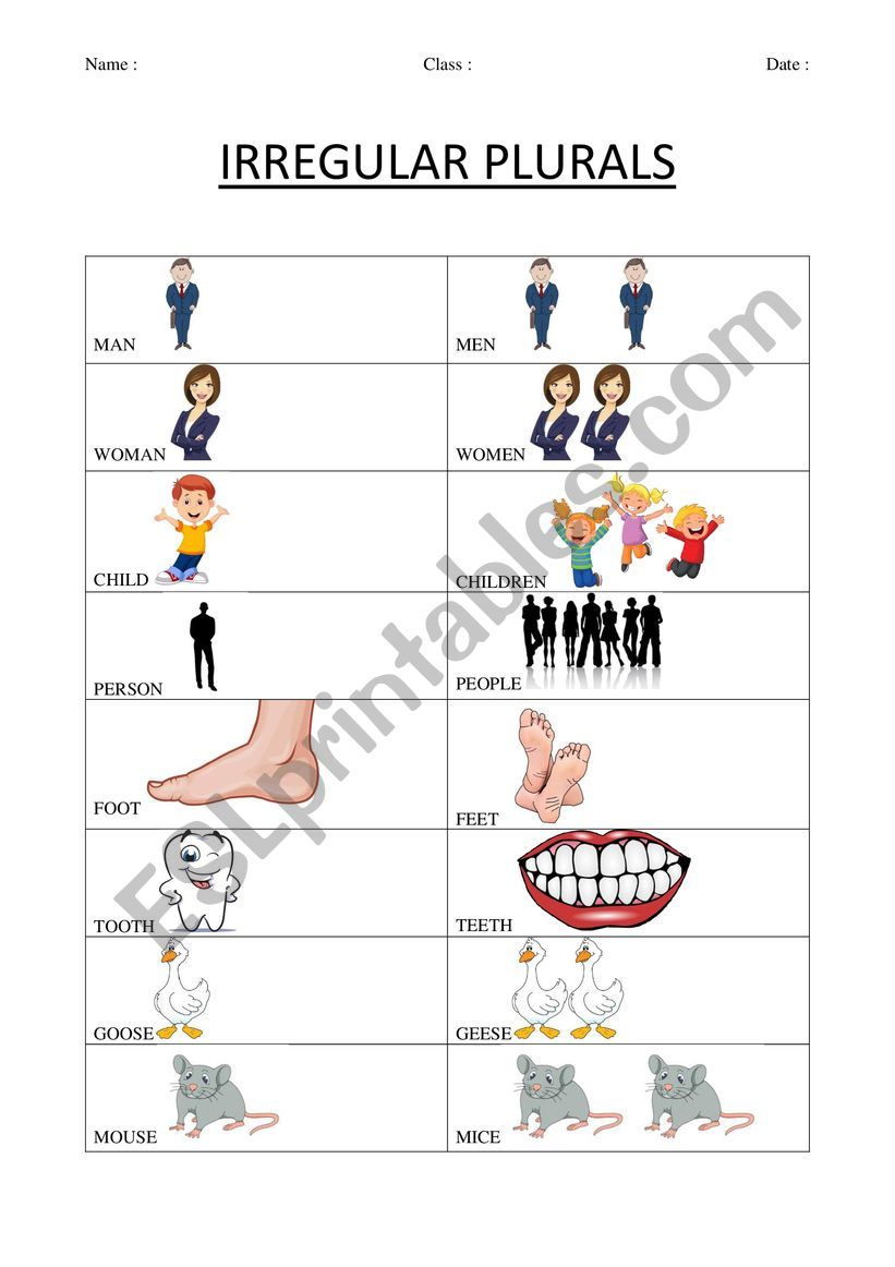 irregular plurals worksheet