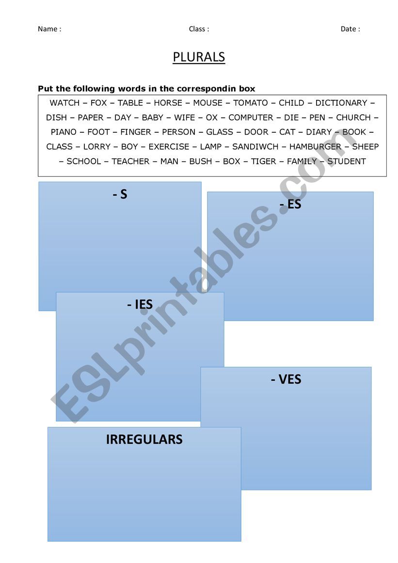 plurals rules exercise worksheet