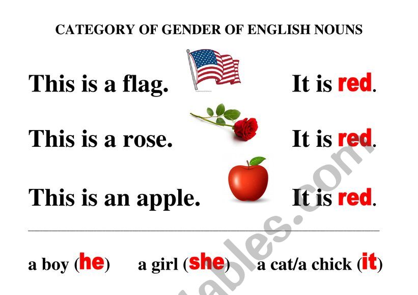Category of Gender of English nouns