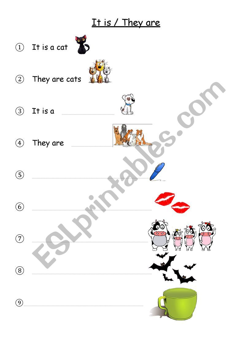 singular and plurals worksheet