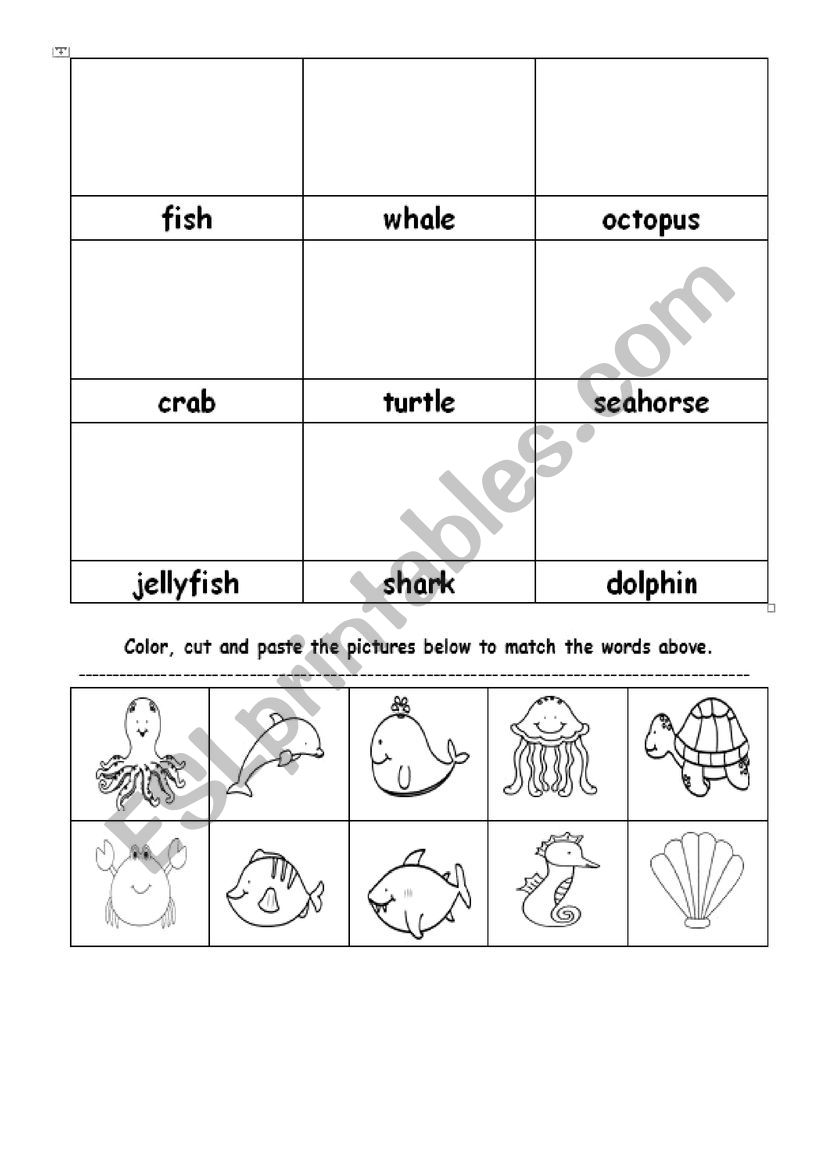 Sea Animals worksheet