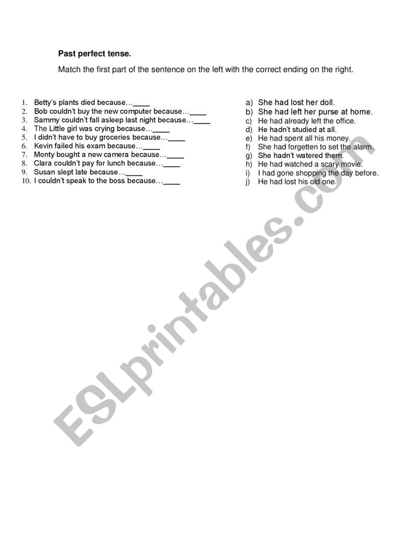 Past Perfect Tense worksheet