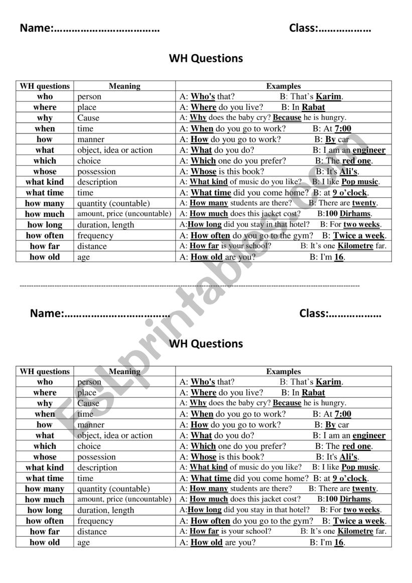 wh questions worksheet