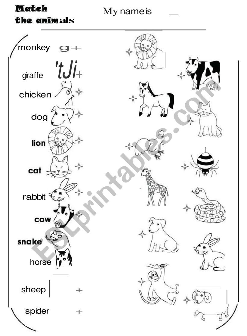 Match the animals worksheet