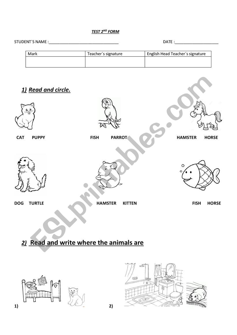 test worksheet