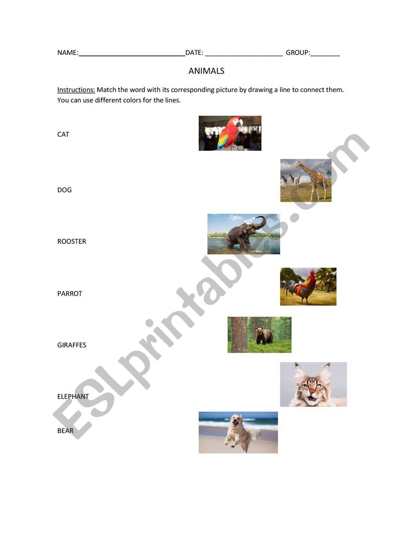 Animals worksheet