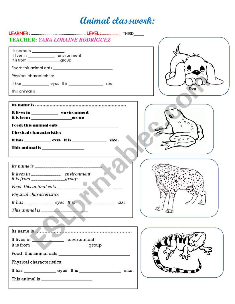 ANIMALS WORKSHOP  worksheet