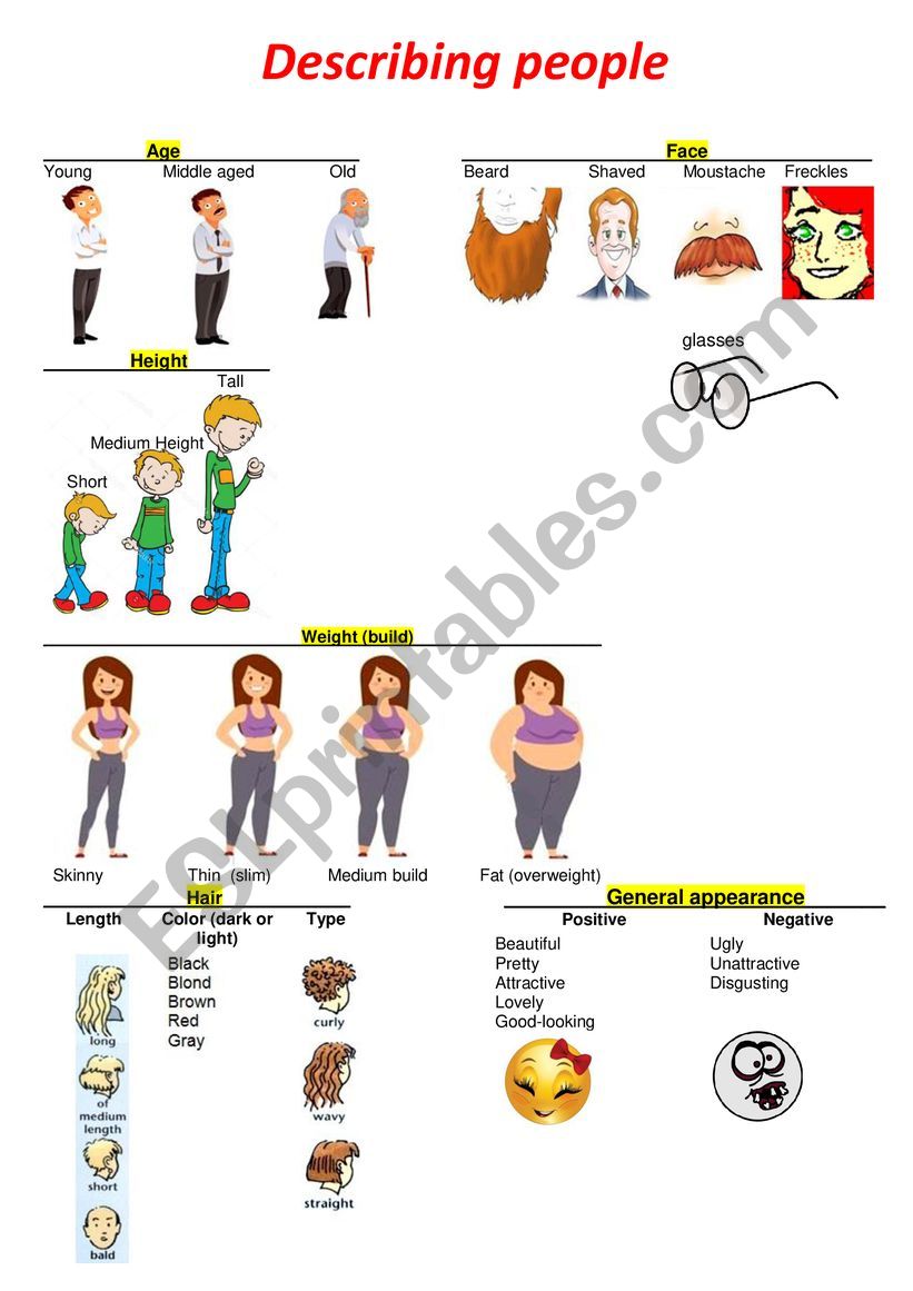 Describing appearance worksheet