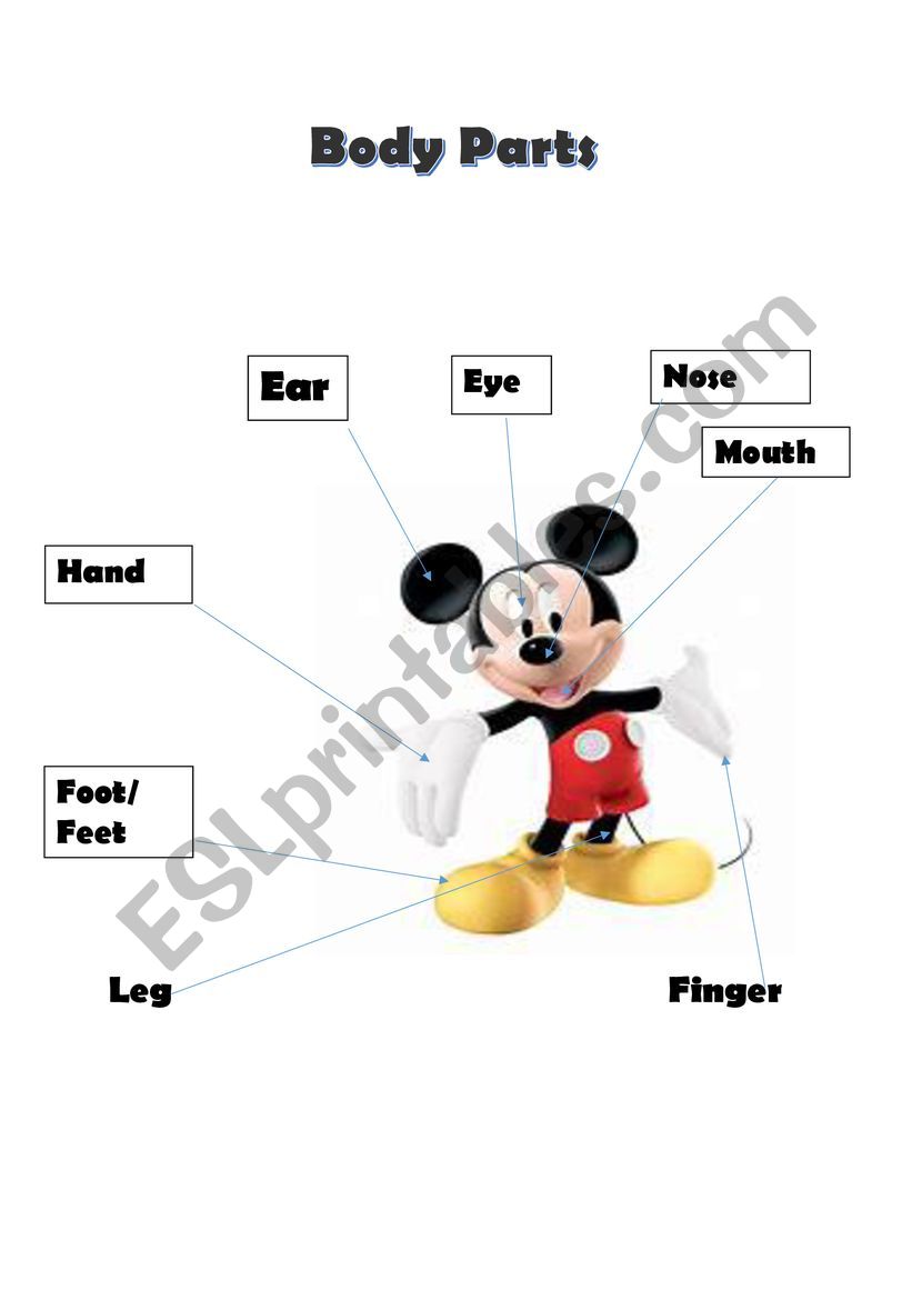 Body Parts worksheet