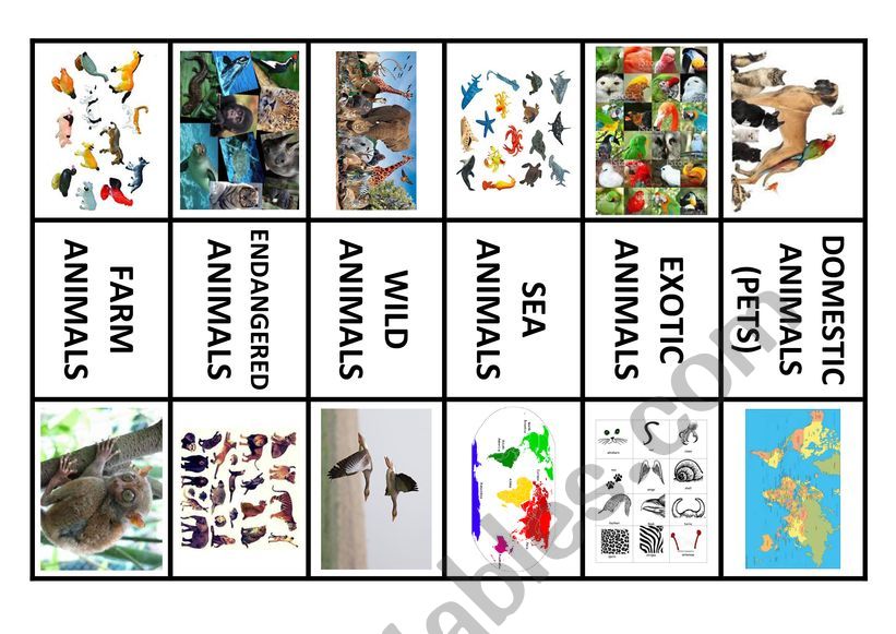 Animal cards worksheet