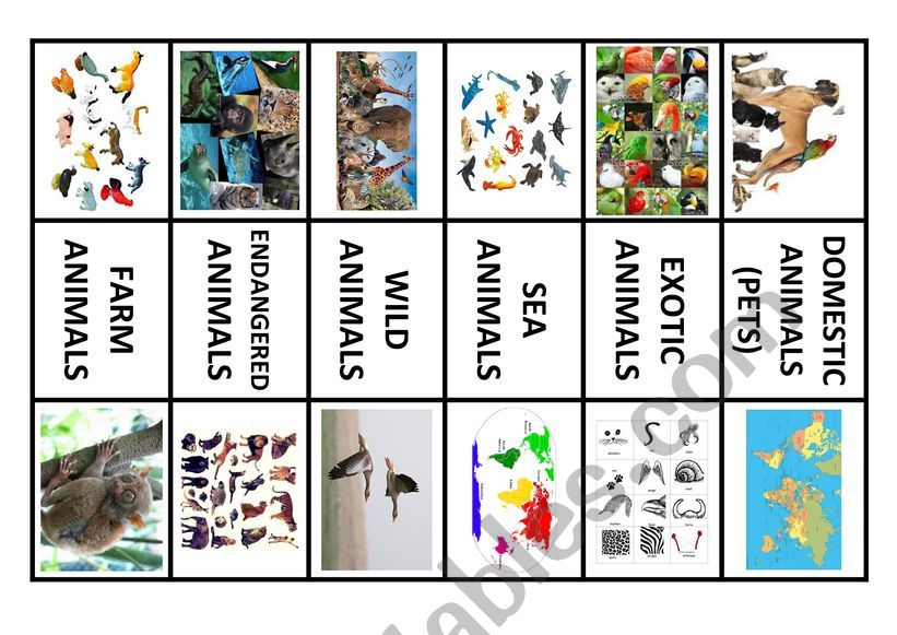 Animal cards worksheet