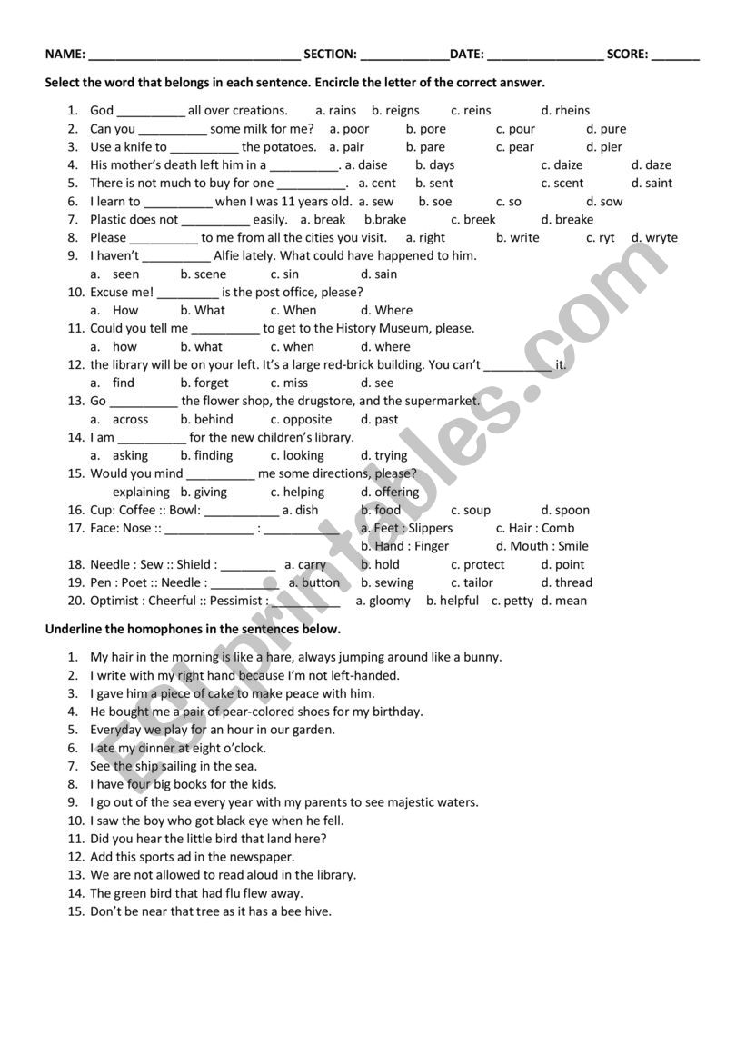 Homonyms worksheet