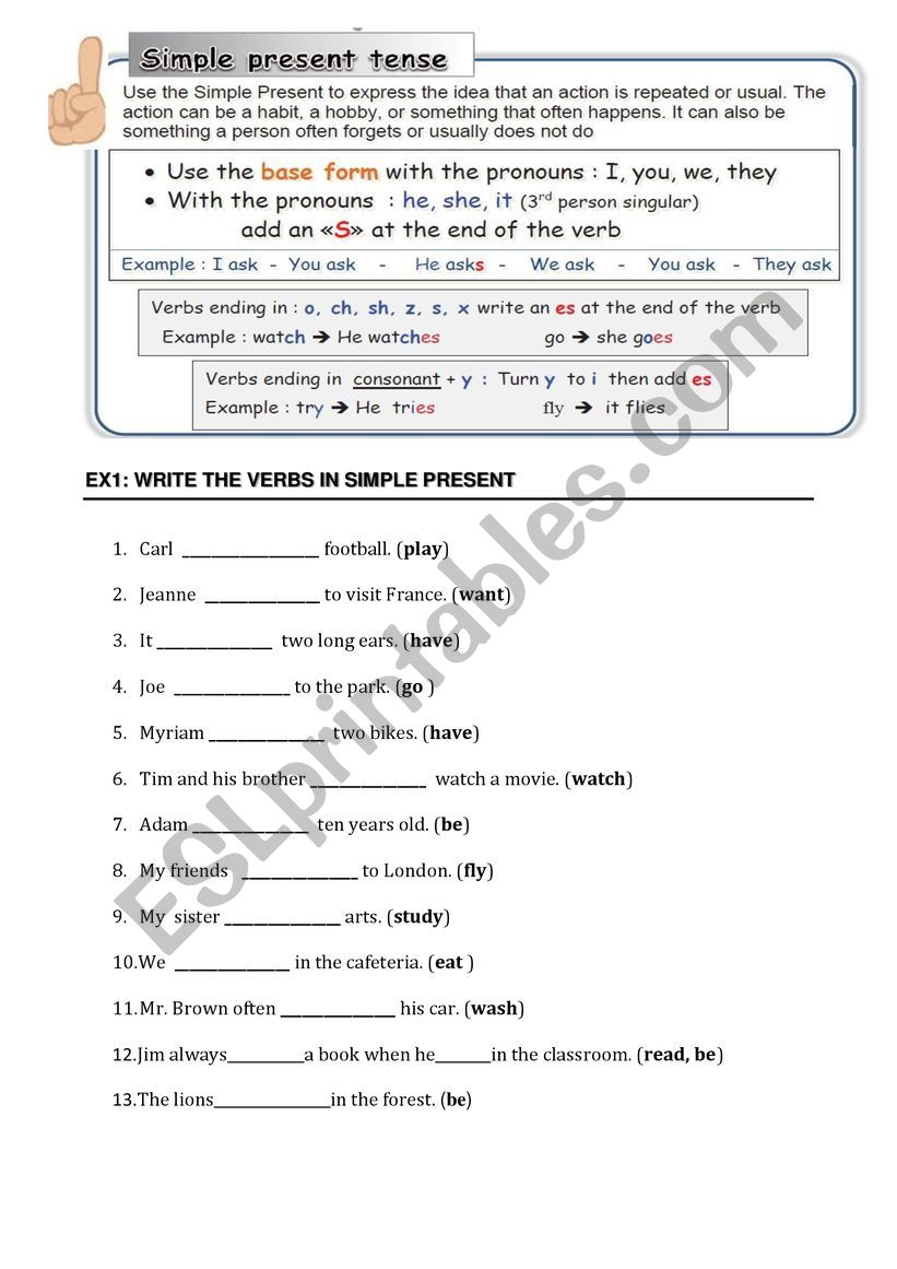 simple present worksheet