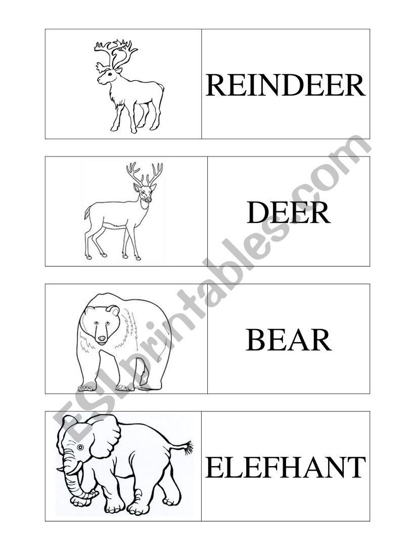 Wild animals - cards worksheet