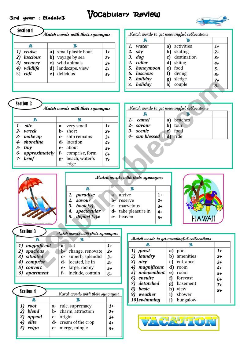 3rd year Module 3 Vocabulary consolidation