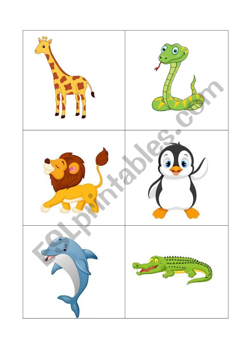 WILD ANIMALS worksheet