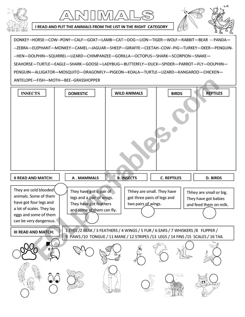 ANIMALS worksheet