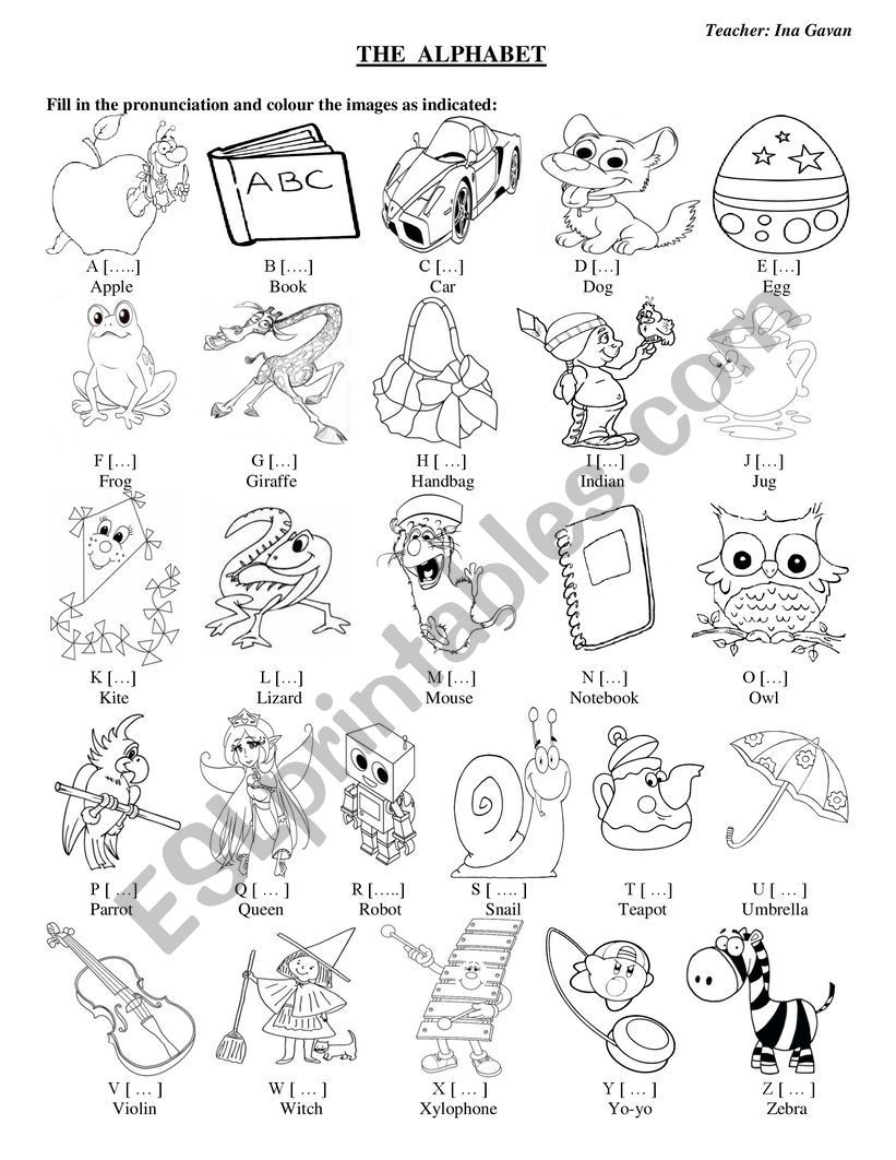 The Alphabet  worksheet