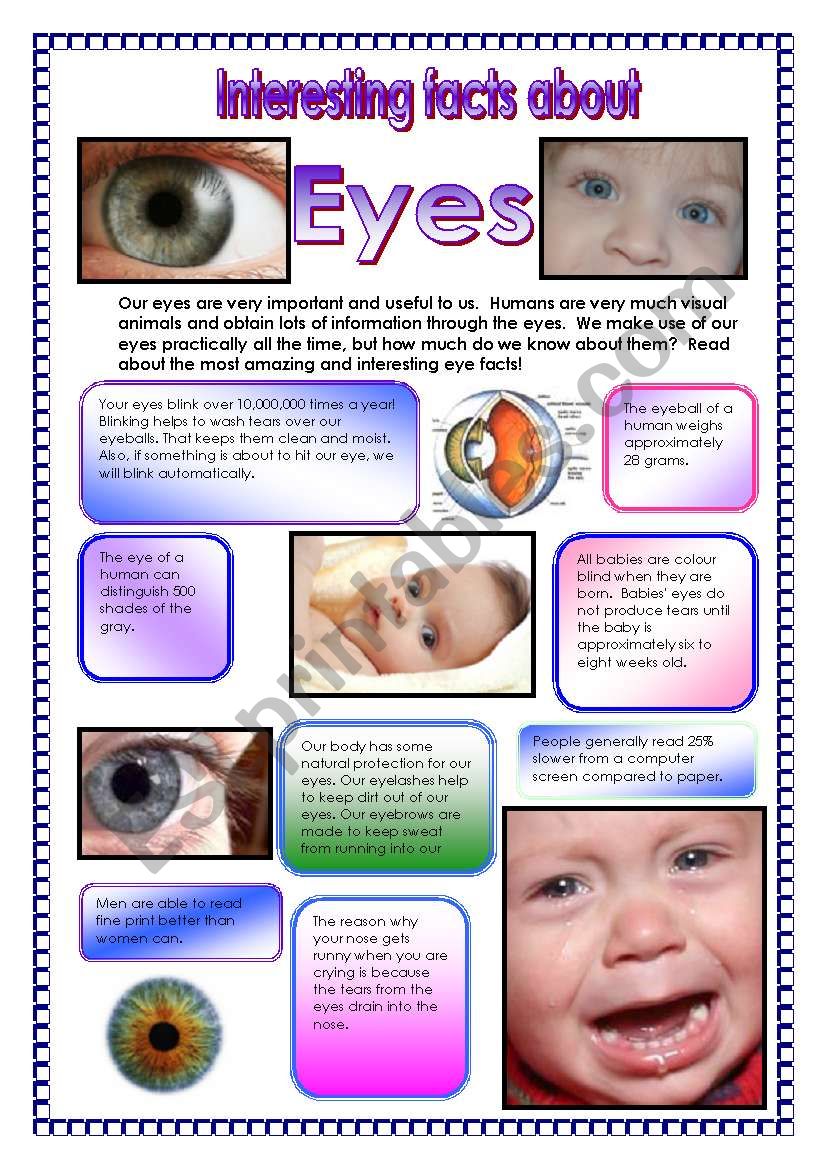 Interesting facts about eyes! - did you know that your eyes blink over 10,000,000 times a year! , etc...