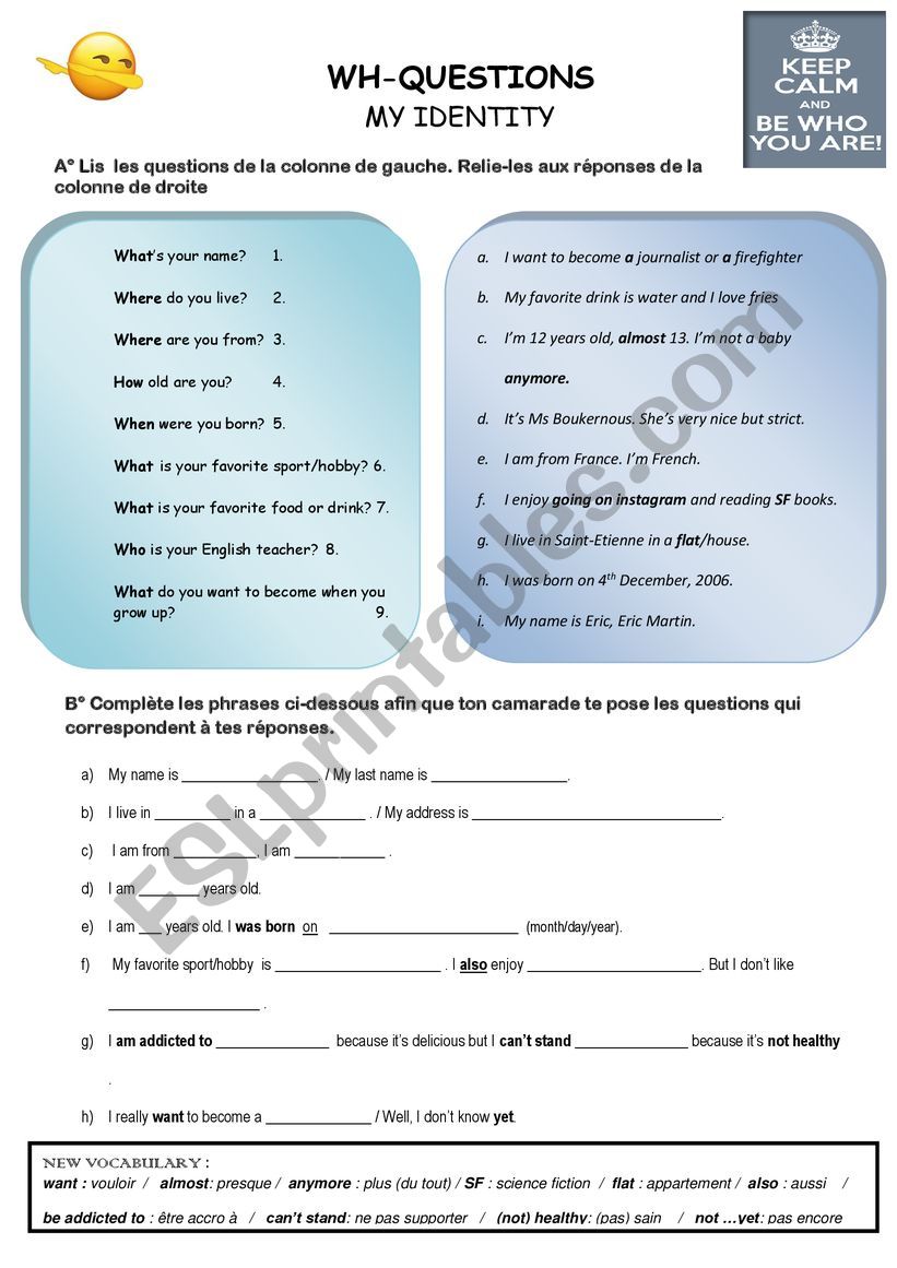 WH questions worksheet