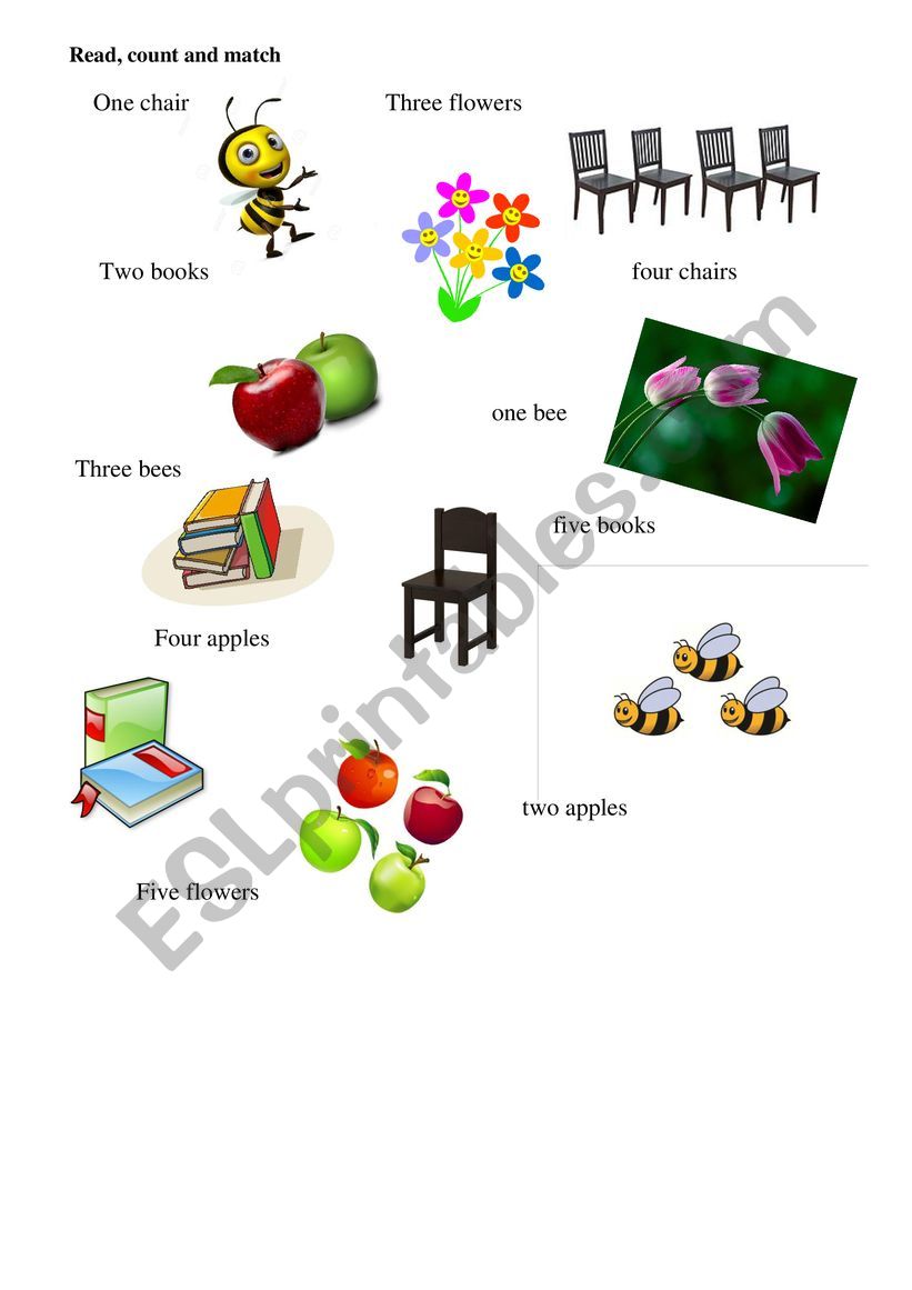 Read, count and match worksheet