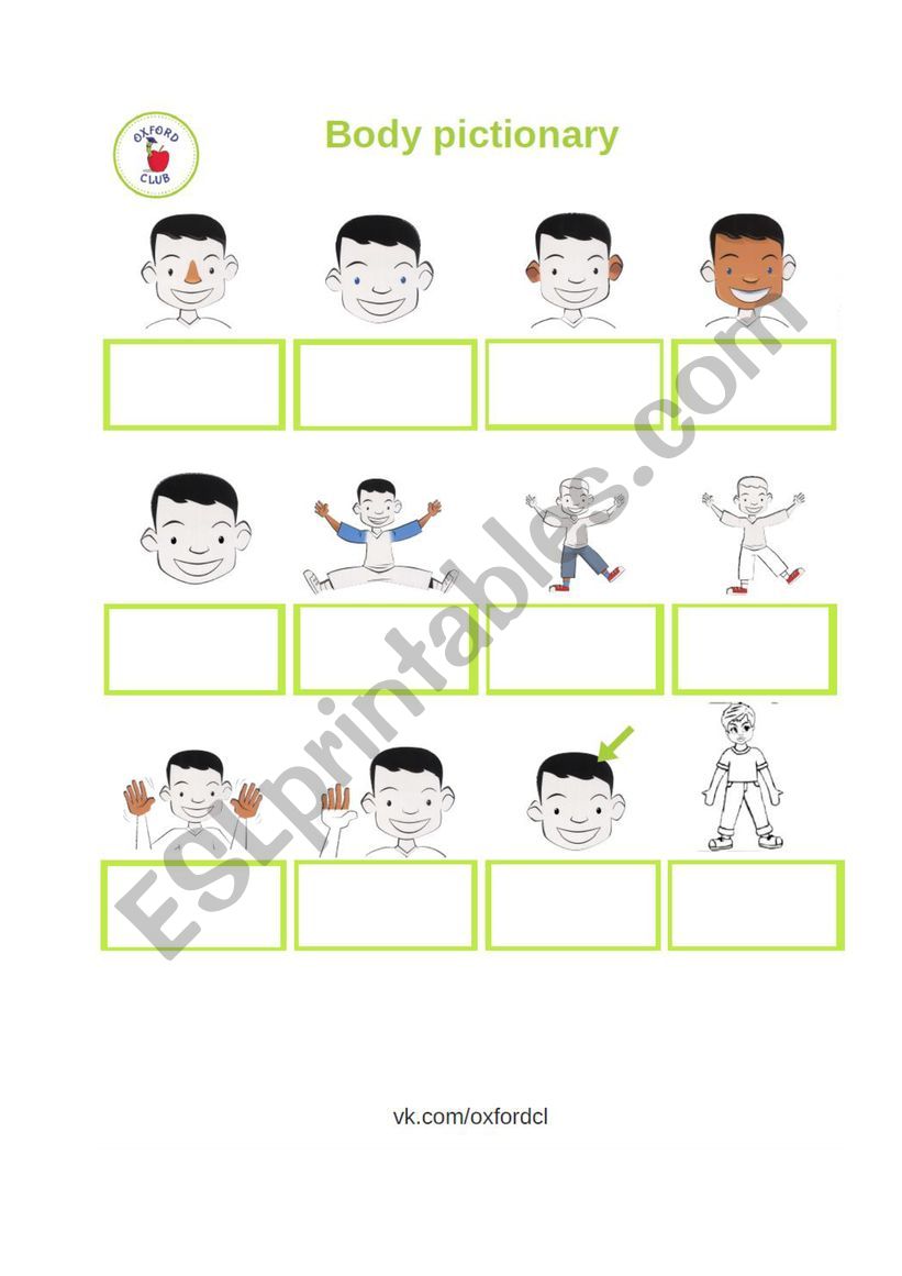 Body pictionary worksheet