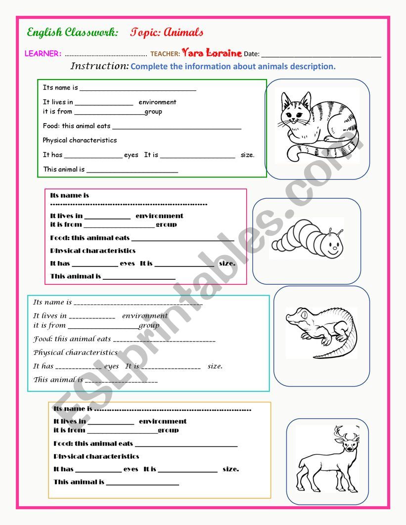 ANIMALS CLASSWORK worksheet