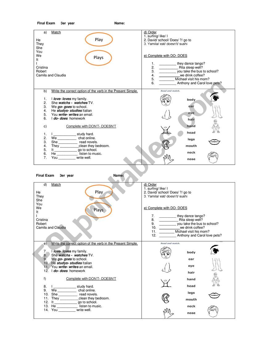 Present simple  worksheet