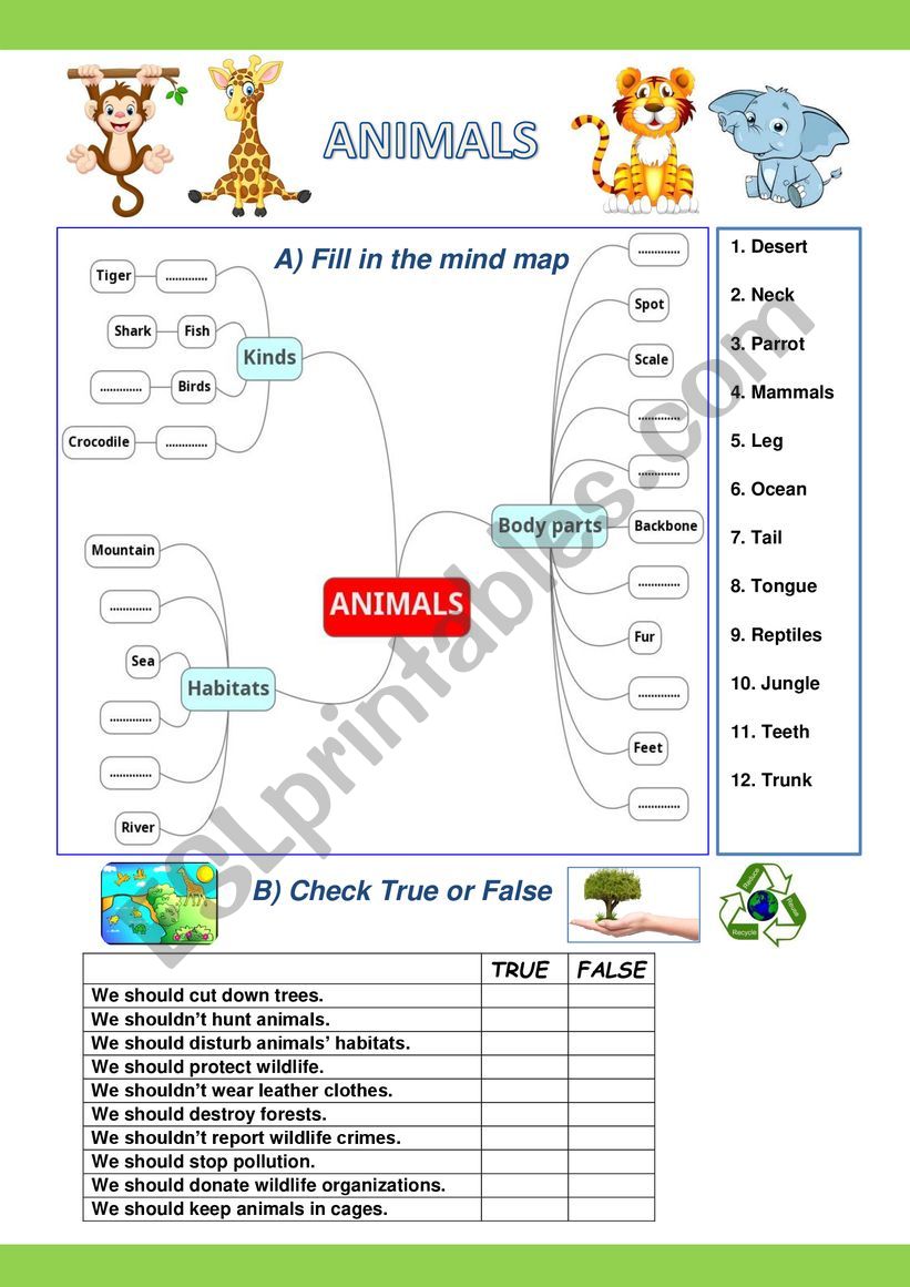 Activities About Wild Animals worksheet