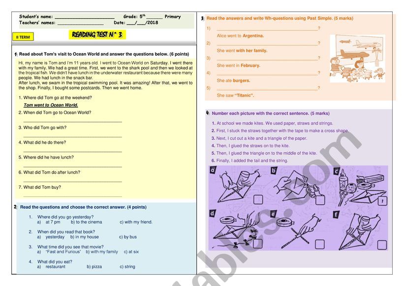 Past Simple Reading Test worksheet