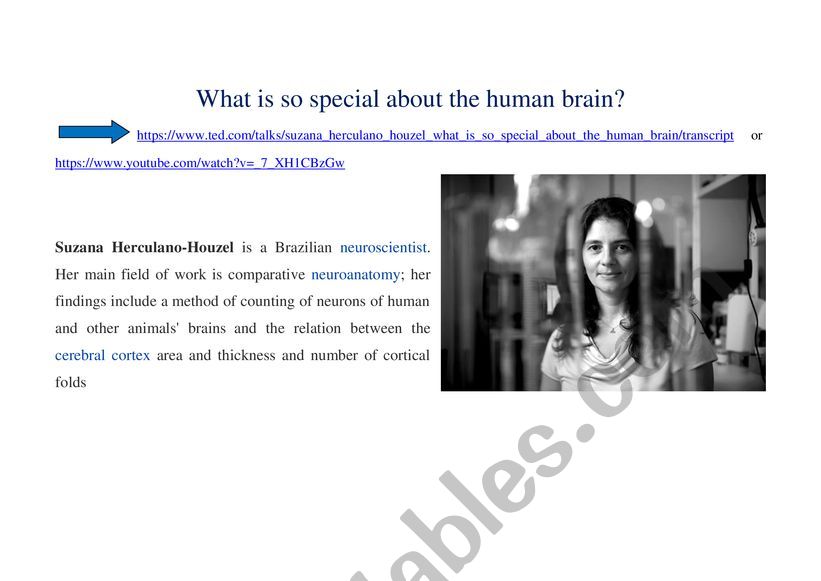 What is so special about the human brain (from Ted Talks) 