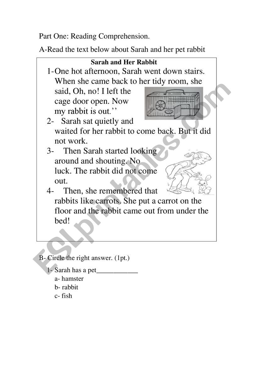 Sarah and Her Rabbit worksheet