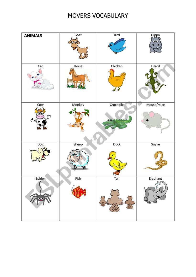 MOVERS EXAM VOCABULARY_ANIMALS