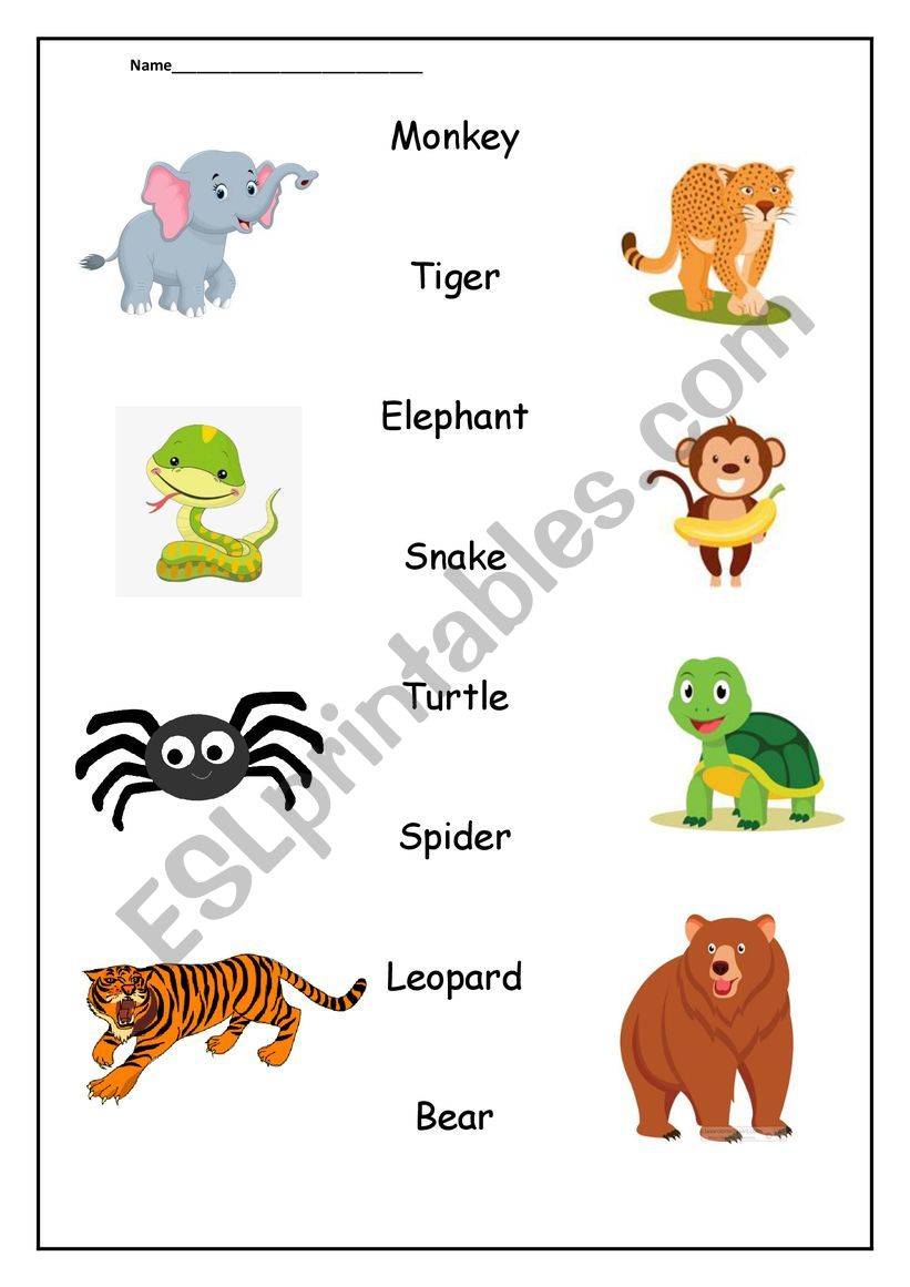 JUNGLE ANIMALS WORKSHEET worksheet